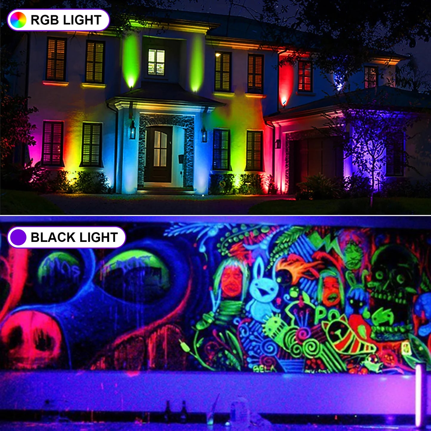 Blacklight - UV light 50W