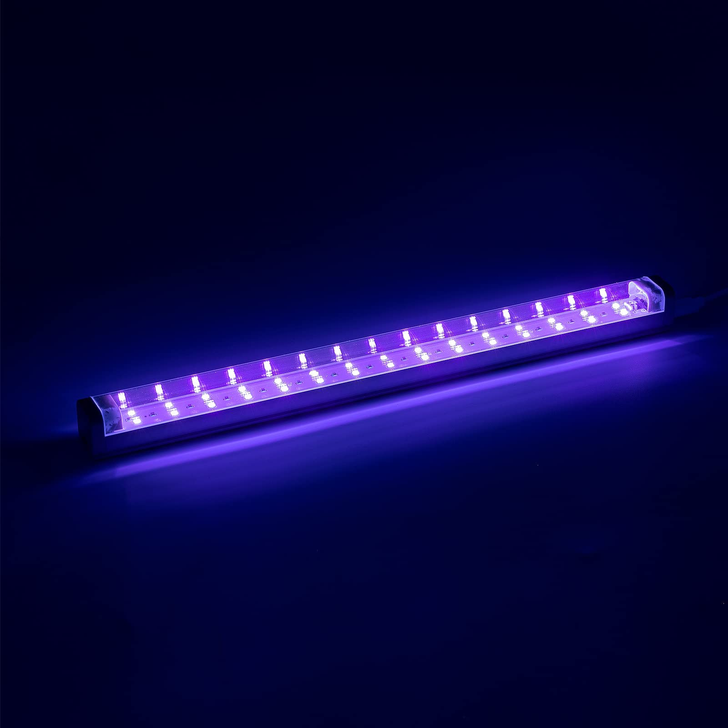 Black Lights