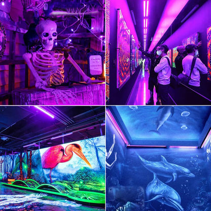 Blacklight - UV light 10W